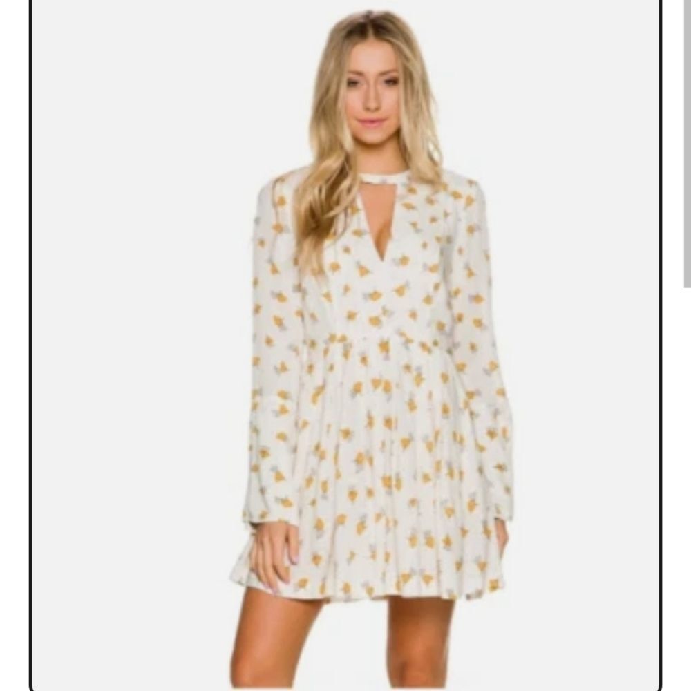 NWT Free PeopleTegan Long Sleeve Mini Dress. Boho. Garden Girl